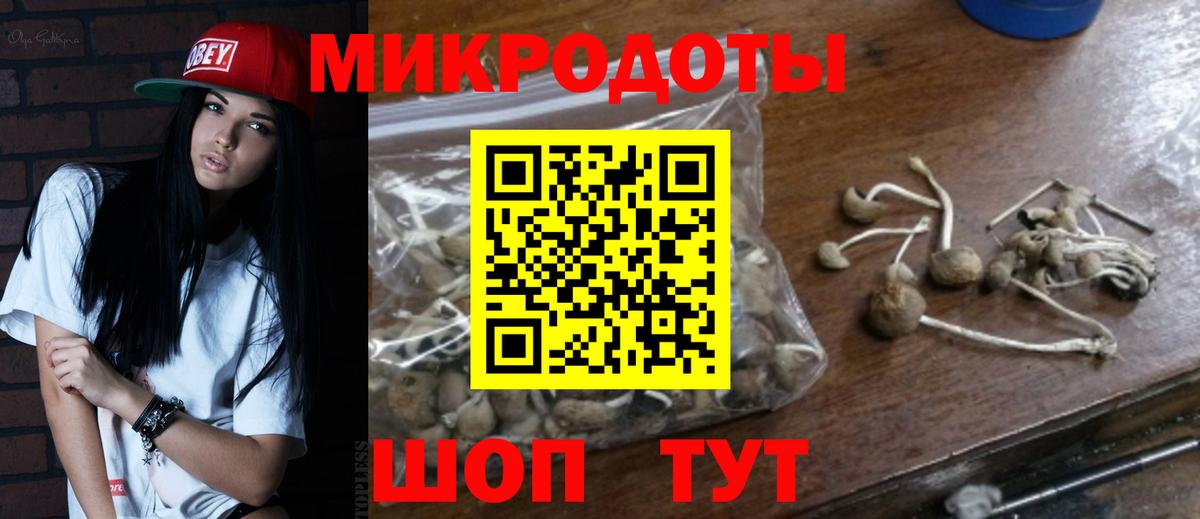Псилоцибиновые грибы мухоморы Киселёвск