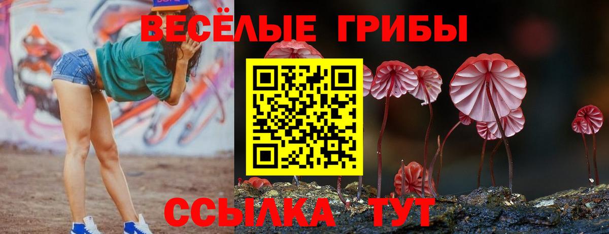 Галлюциногенные грибы Cubensis  даркнет сайт  Киселёвск  Вход с VPN 